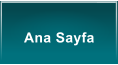 Ana Sayfa